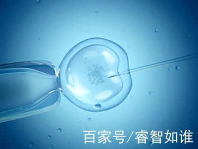代生选性别包男孩